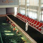mangalia spa cure