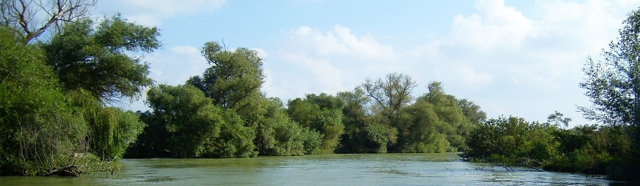 Danube Delta romania