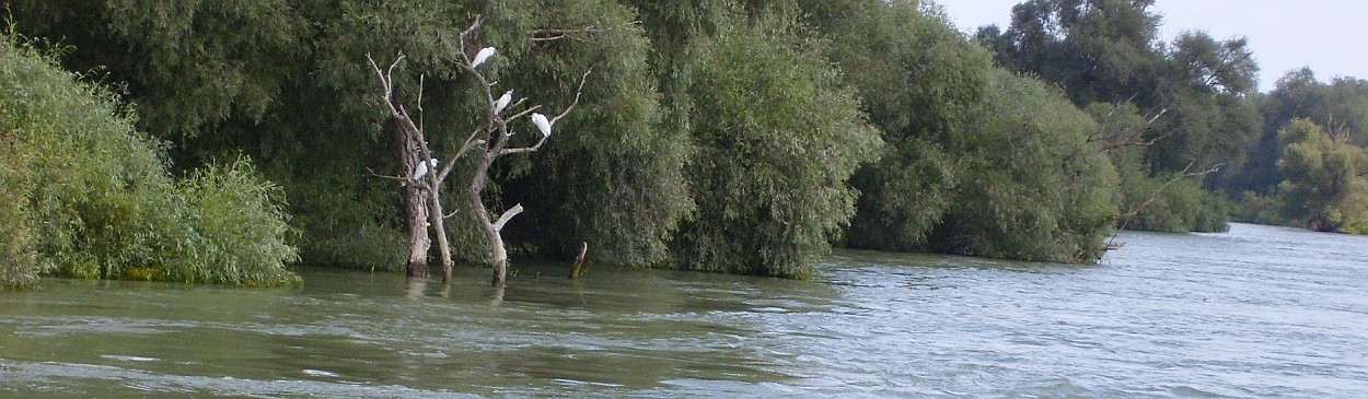 Danube Delta tours